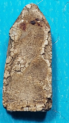 พระสมเด็จพิมพ์ประทานพร