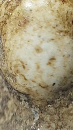 พระสมเด็จพิมพ์ประทานพร