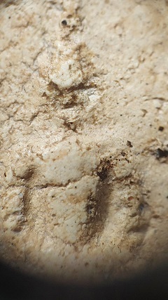 พระสมเด็จ พิมพ์ใหญ่