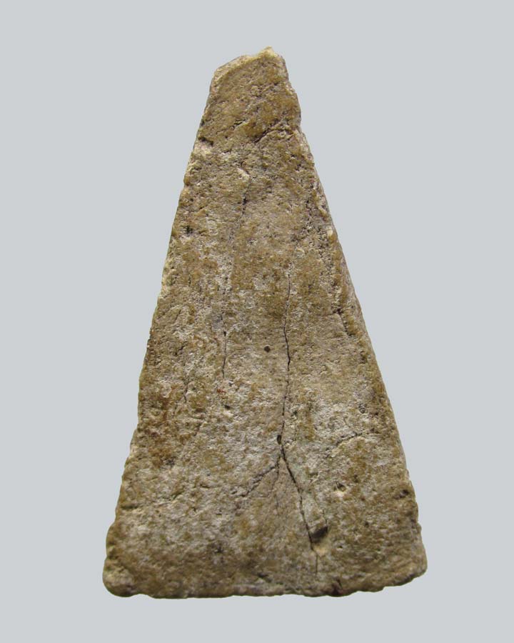 นางพญาทรงฉัตร ปี 2500 ท่านพ่อลี วัดอโศการาม สมุทรปราการ