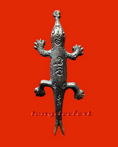 พญาจิ้งจกหลวงปู่หลิว ออกวัดหนองอ้อ สวยมากค่ะ