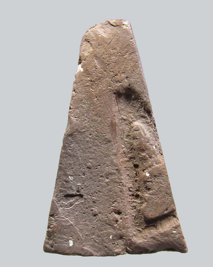 พระผงสุพรรณ วัดพระศรีรัตนมหาธาต สุพรรณ รุ่นจงอางศึก ปี 2510