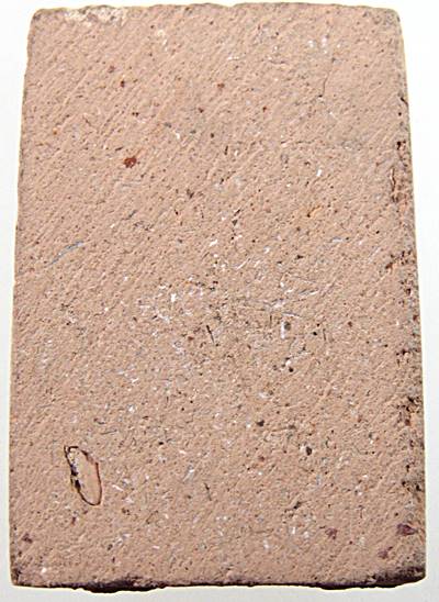 พระสมเด็จเนื้อกระเบื้องหลังคาวิหาร วัดเกษไชโยฯ ปี๒๑ พิธีใหญ่ หลวงปู่โต๊ะ ร่วมปลุกเสก