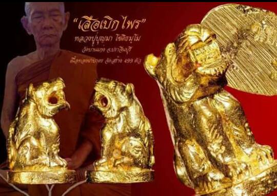 เสือเบิกไพร เนื้อทองฝาบาตร หลวงพ่อบุญมา วัดบ้านแก่ง ปี2557 เคาะเดียวแดงครับ