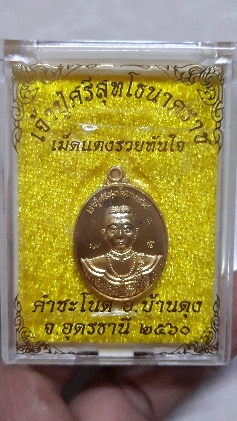 เหรียญเม็ดแตง เนื้อทองทิพย์ คำชะโนด ปี 60