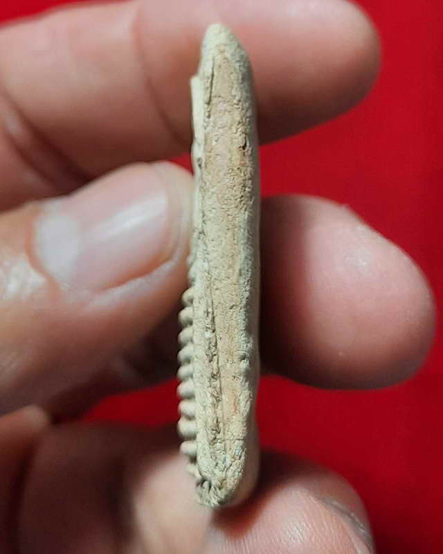 พระสมเด็จเกาชั้นหลวงปู่อ่อน วัดหนองไผ่ ไพศาลี นครสวรรค์