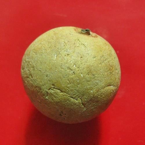 มา 2 ลูก ลูกอมฝังตะกรุดเนื้อผง หลวงพ่อกอย วัดเขาดินใต้ บุรีรัมย์