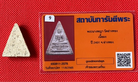 พระนางพญา วัดอ่างทองเนื้อผง ปี 2491+บัตรรับประกันพระแท้