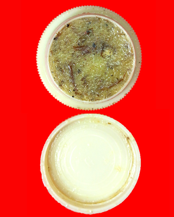 สีผึ้งสายล่าง ครูบาคำเป็ง ฐิตปัญโญ สำนักสงฆ์มะค่างาม จ.กำแพงเพชร