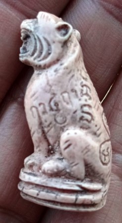 เสือกับปลาวัดบางพระ