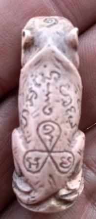 เสือกับปลาวัดบางพระ