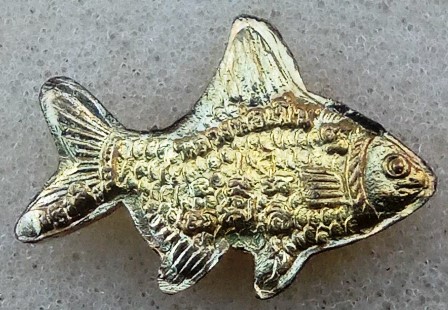 เสือกับปลาวัดบางพระ