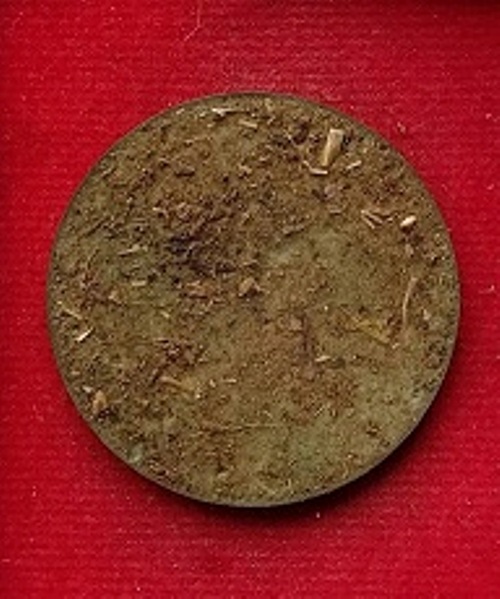 ล็อกเก็ตหลวงพ่อฉาบ วัดศรีสาคร จ.สิงห์บุรี ปี50 