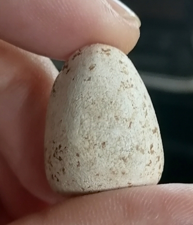 พระ​ผง​วัด​ประสาท​บุ​ญญา​วา​สปี​06​ พิมพ์​ตุ๊กตา​ใหญ่​