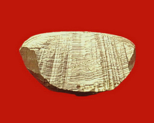 รูปเหมือนปั๊ม หลวงพ่ออุตตมะ วัดวังก์วิเวการาม จ.กาญจนบุรี รุ่นแรก เนื้ออัลปาก้า สวยมากค่ะ