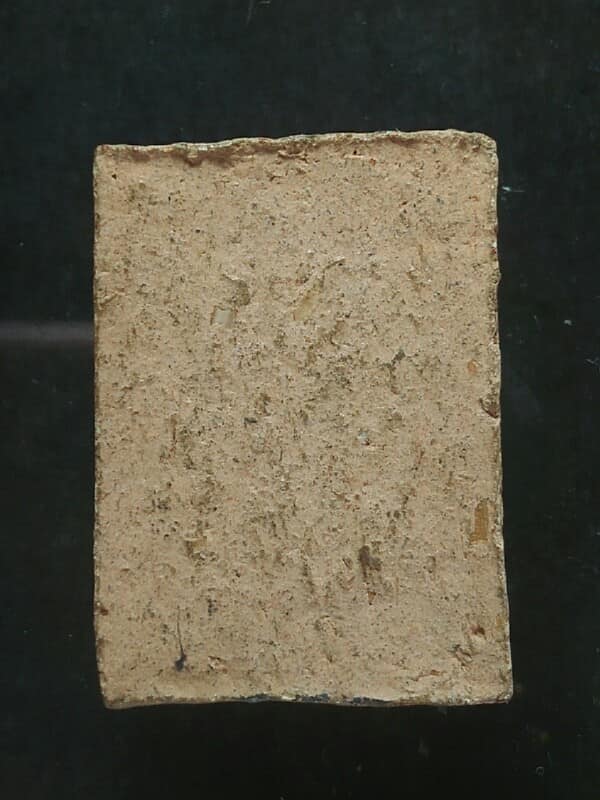 สาลิกาคู่ เนื้อผง 