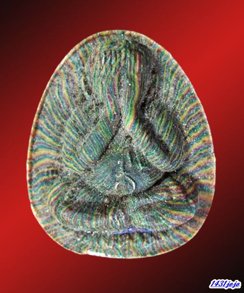 พระปิดตา พิมพ์จัมโบ้ หลวงพ่อแพ วัดพิกุลทอง เนื้อผงสายรุ้ง ฝังตะกรุดเงิน ปี2531 พร้อมบัตรรับรอง