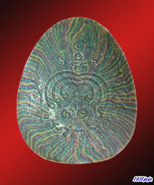 พระปิดตา พิมพ์จัมโบ้ หลวงพ่อแพ วัดพิกุลทอง เนื้อผงสายรุ้ง ฝังตะกรุดเงิน ปี2531 พร้อมบัตรรับรอง