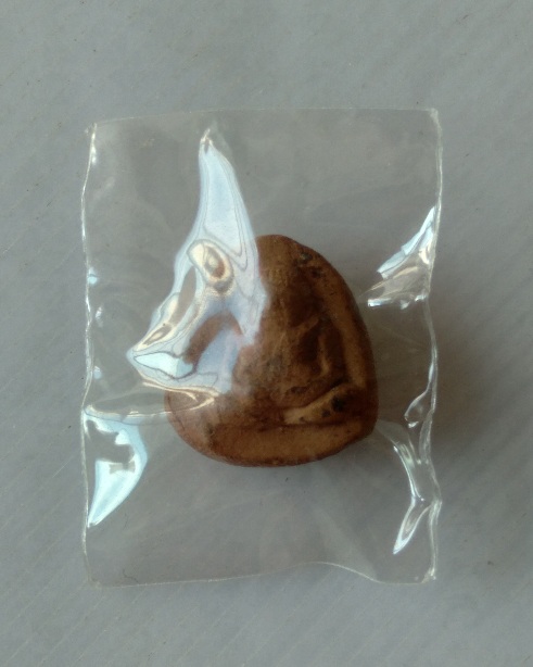 พระสังกจายน์กรุวัดคู้ยาง จ.กำแพงเพชร