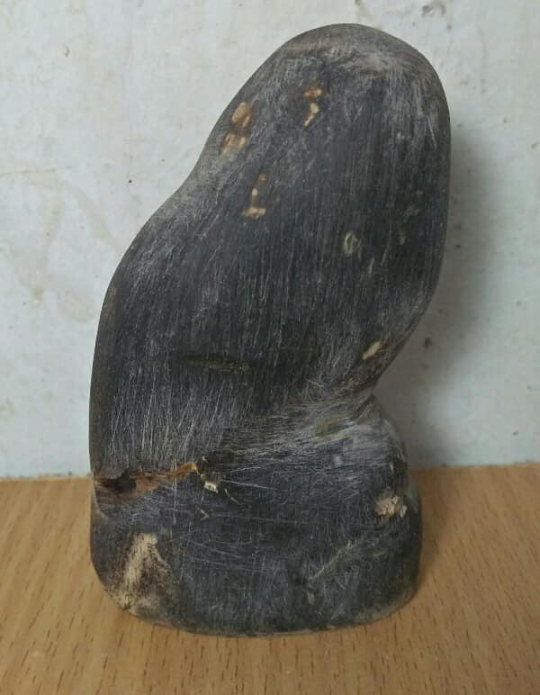 ปลายเขาแกะ
