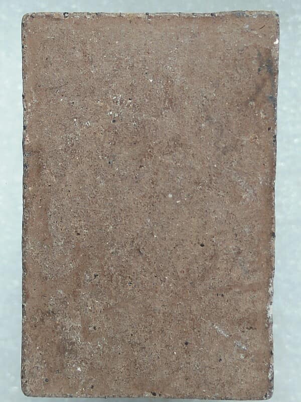 พระสมเด็จปรกโพธิ์ 