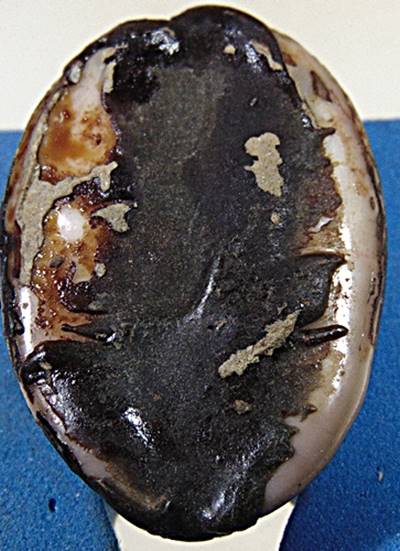 เบี้ยแก้ เก่า ปรอทเต็ม เขย่าดังขลุกๆ