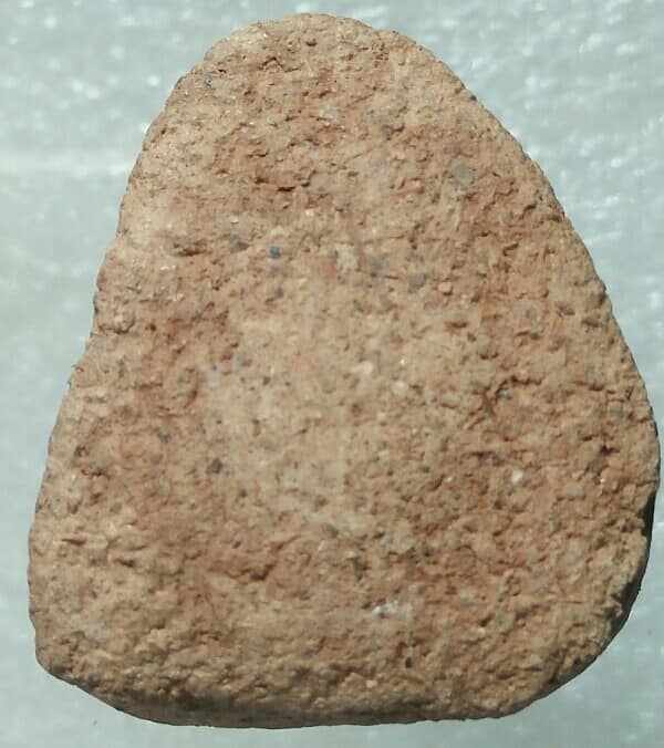 พระสังขจายเนื้อผง 