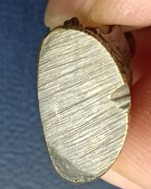 รูปหล่อโบราณหลวงปู่สรวง