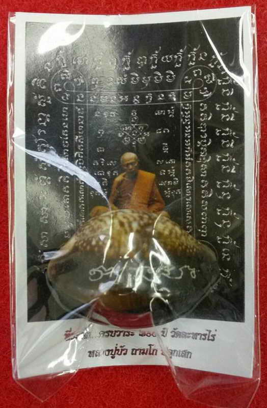 K1491 เบี้ยแก้ อุดผงพรายกุมารคลุกรักชันโรง พิธีในโบสถ์วัดละหารไร่ ปี 54 หลวงปู่บัว 