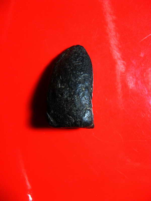 K1853 พระรอดหลวงพ่อทาบ วัดกระบกขึ้นผึ้งปี05