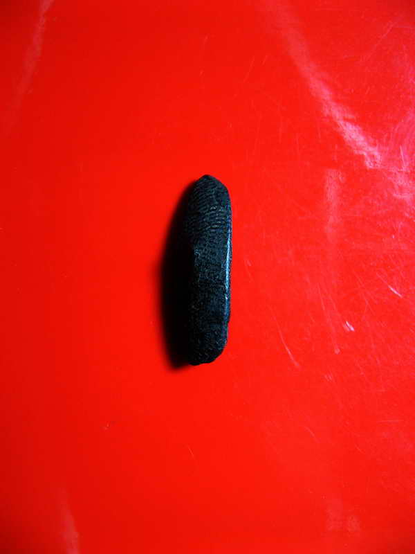 K1879 พระลีลาพิมพ์เล็ก หลวงพ่อทาบ