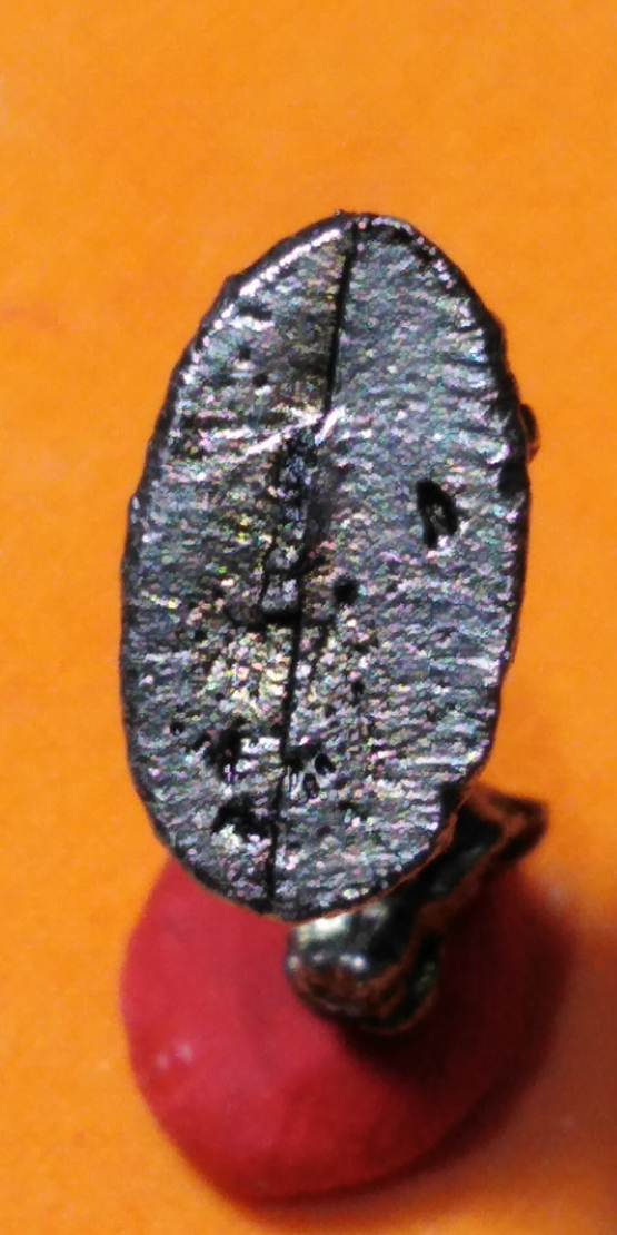 63..เสือหล่อไม่ทราบที่สภาพสวยเบ่งปัน