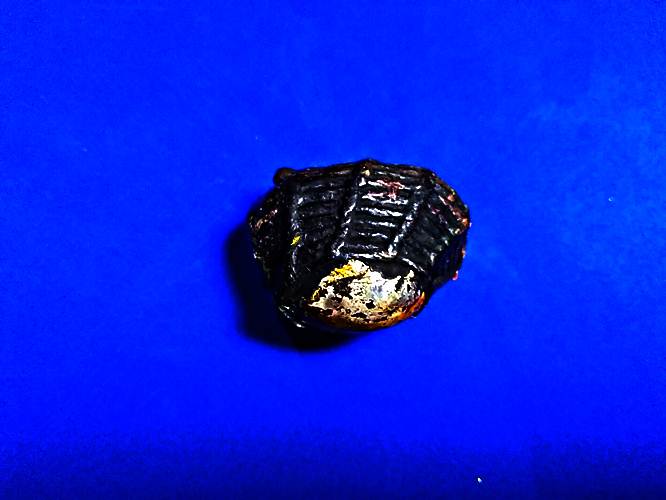 M11.เบี้ยแก้เก่ามากไม่ทราบที่เปิิดแบ่งปันไปออกต่อสบายสบายใครทราบเชิญ