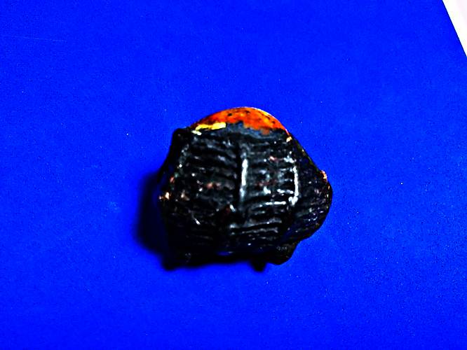 M11.เบี้ยแก้เก่ามากไม่ทราบที่เปิิดแบ่งปันไปออกต่อสบายสบายใครทราบเชิญ