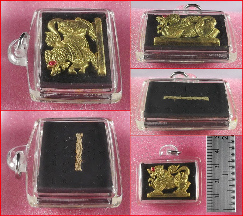 สิงห์ตะปบสาว เนื้อดำปัดทองฝังรากราคะ หลวงปู่ญาท่านเขียน สำนักสงฆ์ป่าช้าหนองขี้นก จ.อุบลราชธานี  #6