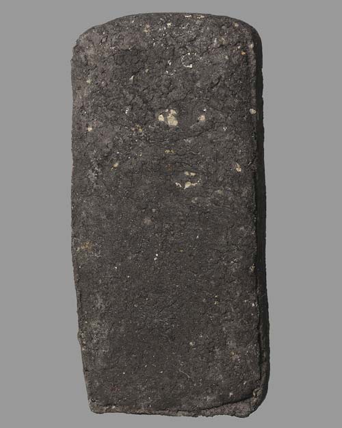 พระนางตราพิมพ์นาคปรก รุ่น 100 ปี อ.ท่าศาลา พ.ศ.2541 ท่านขุนพันธ์เป็นเจ้าพิธี