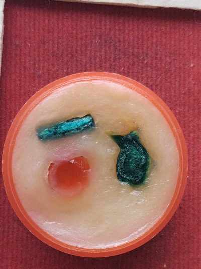 ตลับสีผึ้ง ไม่ทราบที่