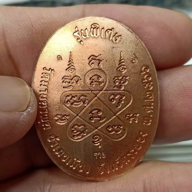 วัดสร้าง เหรียญหลังเต่า รุ่นพิเศษ 89 หลวงพ่อรวย วัดมาบตะพุด จ.ระยอง ปี 2566 เนื้อทองแดงผิวไฟ