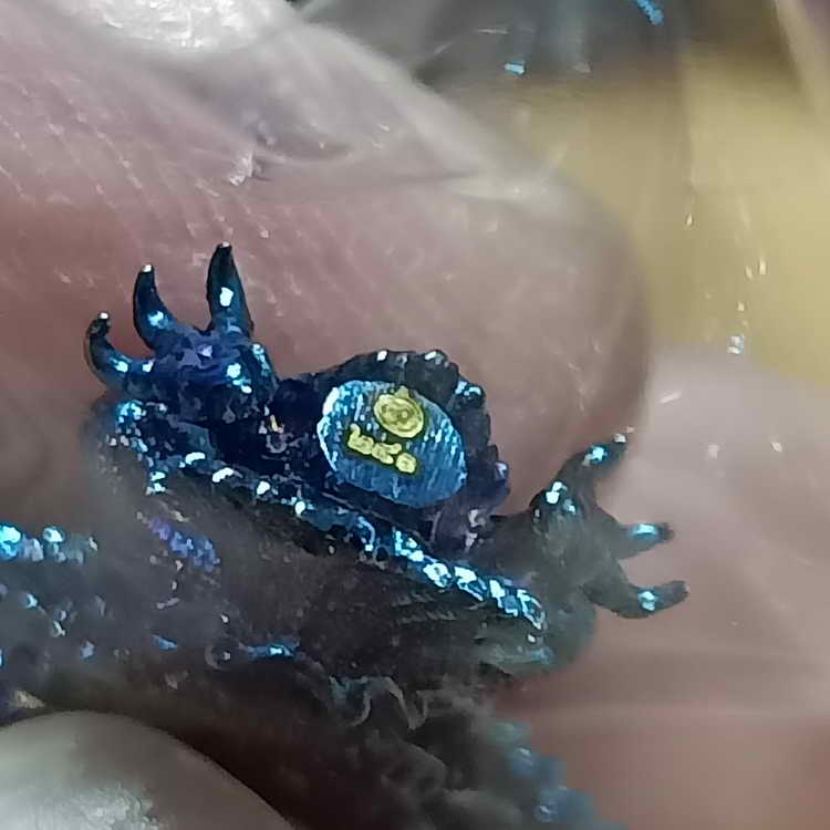 ปีมีหนเดียว พญาครุฑน้อยเศรษฐี กฐิน 66 วัดครุฑธาราม จ.พระนครศรีอยุธยา ปี 2566 เนื้อมหาชนวนประกายรุ้ง 