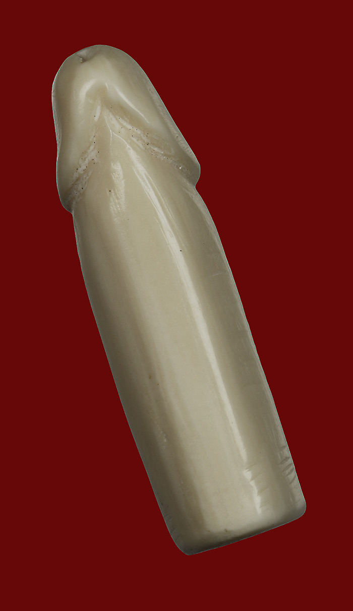 ปลัดขิกเนื้องาแกะ ไม่ทราบที่