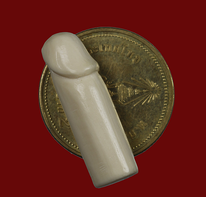 ปลัดขิกเนื้องาแกะ ไม่ทราบที่