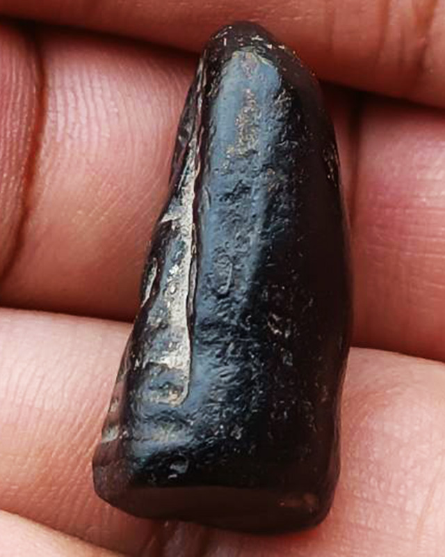 พระเนื้อดินจุ่มรัก พิมพ์คล้ายพระคง พระบ้านเก่าเก็บ หลายสิบปี ไม่ทราบเกจิที่สร้าง ขนาดสูงประมาณ 3 ซ.ม