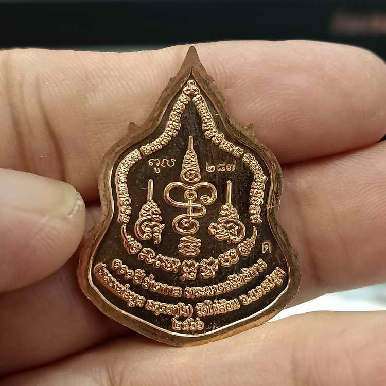 เหรียญ 111 ปี ชาตกาล หลวงพ่อพูล วัดไผ่ล้อม จ.นครปฐม ปี 2566 เนื้อทองแดง ลงยาจีวร หมายเลข 287