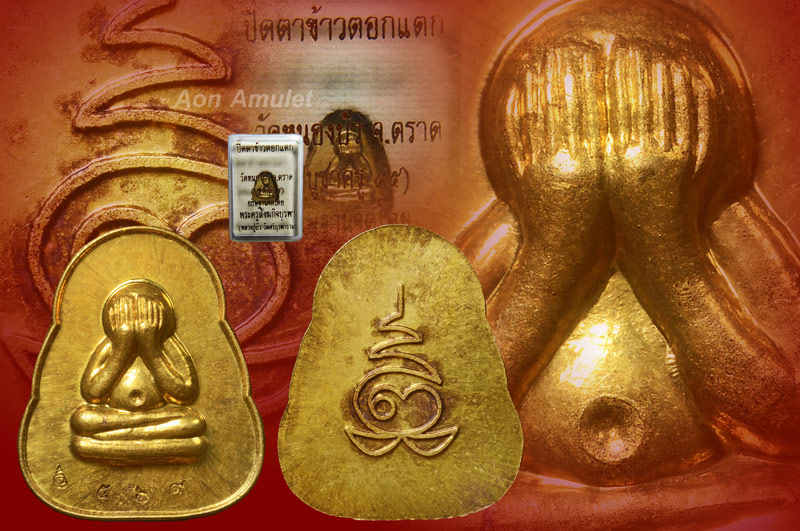 พระปิดตาข้าวตอกแตกเนื้อทองเทวฤทธิ์ รุ่น บูชาครู 55 หลวงปู่บัว ถามโก พศ.2555 หมายเลข 569