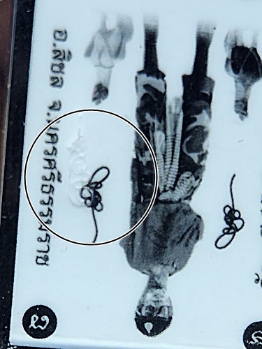 วัดเจดีย์ นครศรีธรรมราช รูปถ่ายไอ้ไข่ เด็กวัดเจดีย์ รุ่นสรงน้ำ 63 โค๊ดชัดเจน