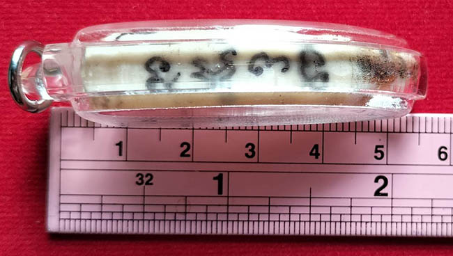 ฟันจระเข้ จารมือ 4 ด้าน หลวงพ่อวิรัช วัดดีบอน ราชบุรี เลี่ยมพร้อมใช้