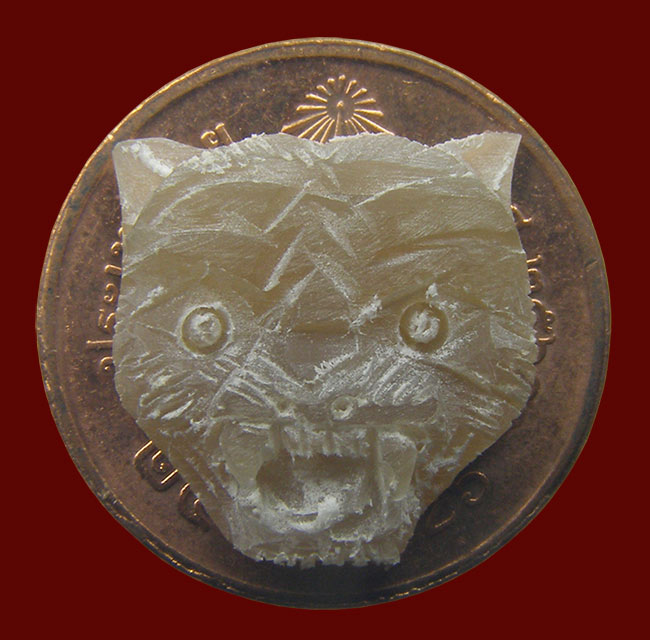 หน้าเสือแกะเม็ดกระดุม เนื้อเขาควายเผือก รุ่นรวยทันใจ หลวงพ่อสุพจน์ วัดห้วงพัฒนา ตราด