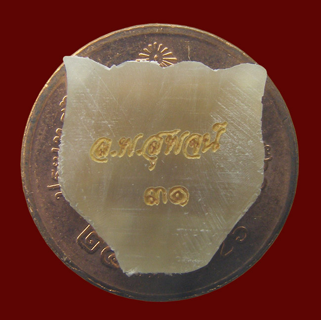 หน้าเสือแกะเม็ดกระดุม เนื้อเขาควายเผือก รุ่นรวยทันใจ หลวงพ่อสุพจน์ วัดห้วงพัฒนา ตราด