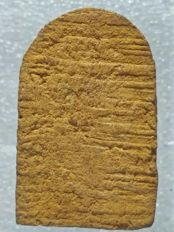 พระผงพิมพ์ปรกโพธิ์ 