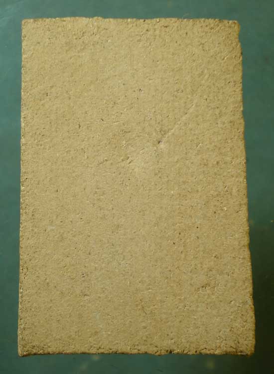 ปรกโพธิ์ หลวงพ่อก๋วน วัดตะเคียนทอง ระยอง